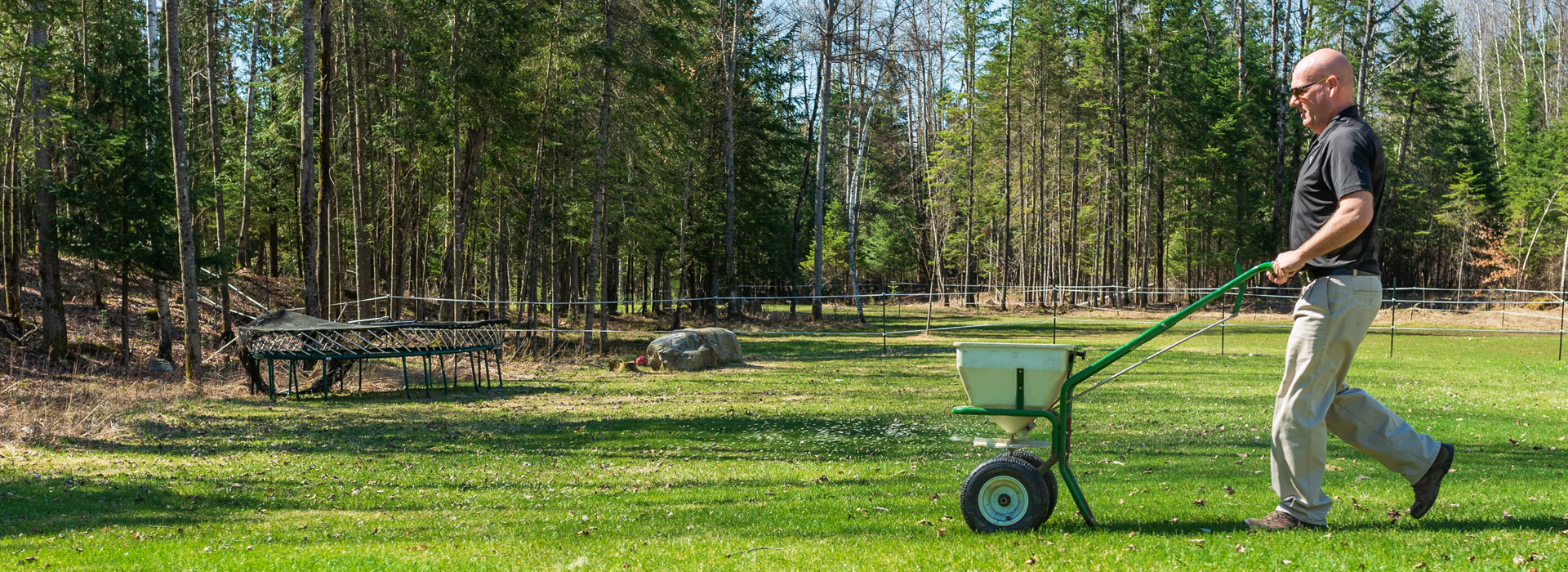 entretien pelouse laurentides